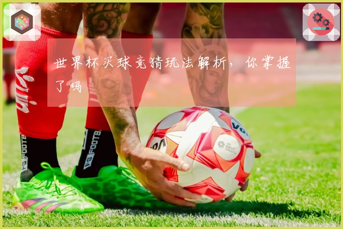 世界杯买球竞猜玩法解析，你掌握了吗