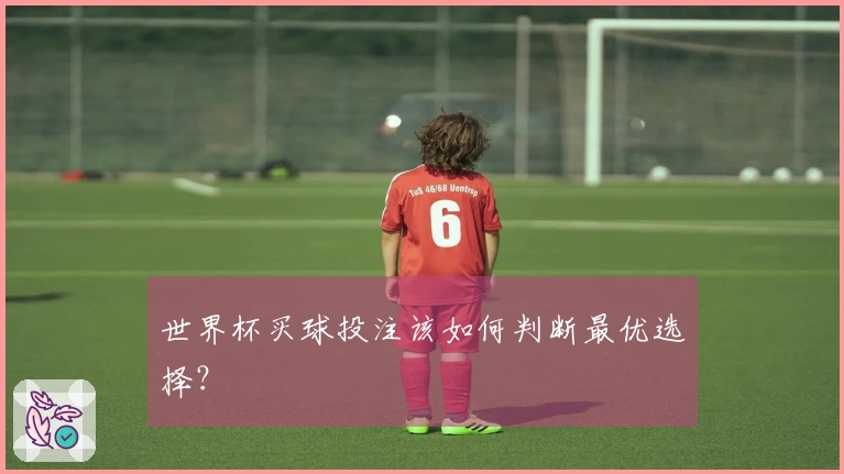 世界杯买球投注该如何判断最优选择？