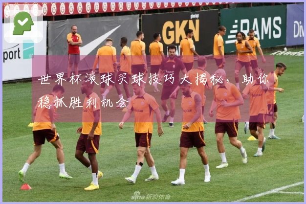 世界杯滚球买球技巧大揭秘，助你稳抓胜利机会
